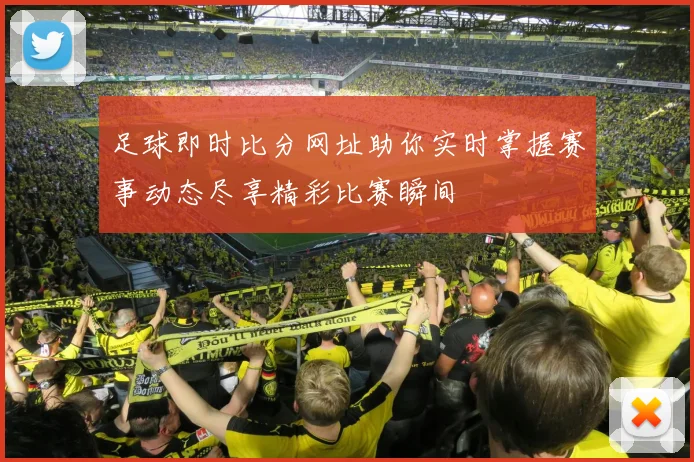 足球即时比分网址助你实时掌握赛事动态尽享精彩比赛瞬间