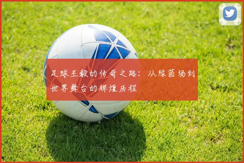 足球王毅的传奇之路：从绿茵场到世界舞台的辉煌历程