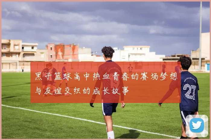 黑子篮球高中热血青春的赛场梦想与友谊交织的成长故事