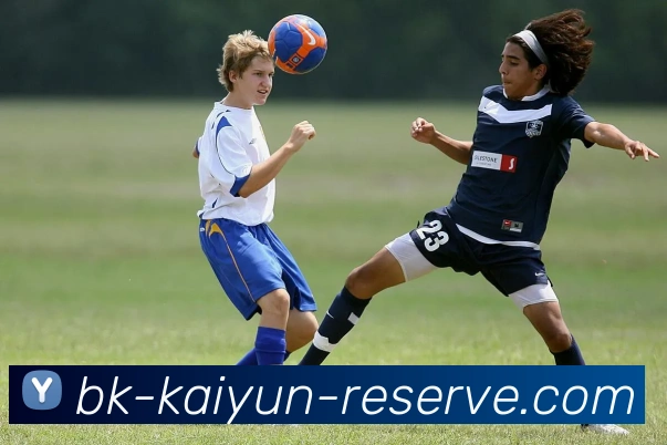 App Interface Preview